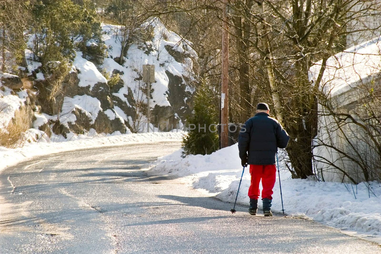 Winter Walk