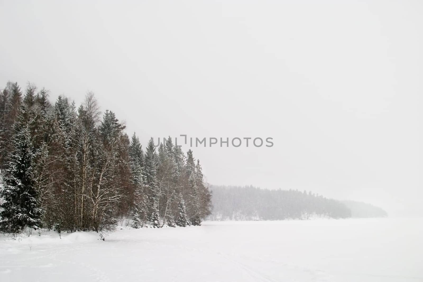 Frozen Lake with Trees