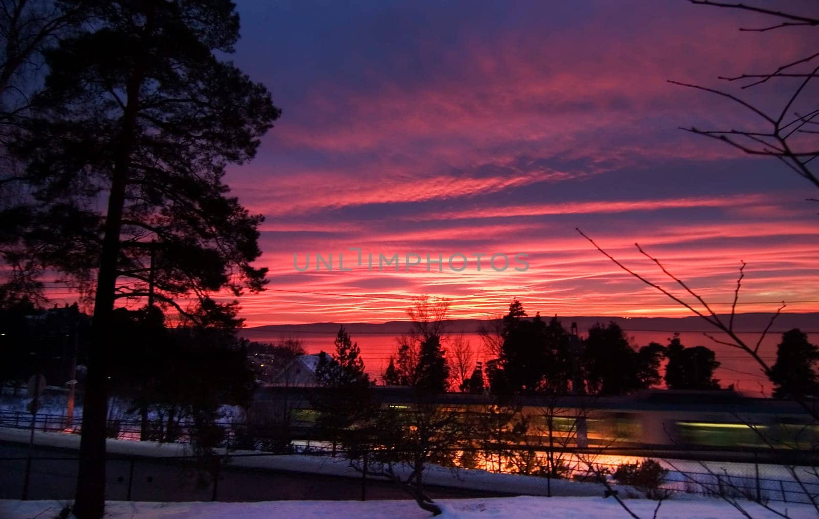 Purple Sunset
