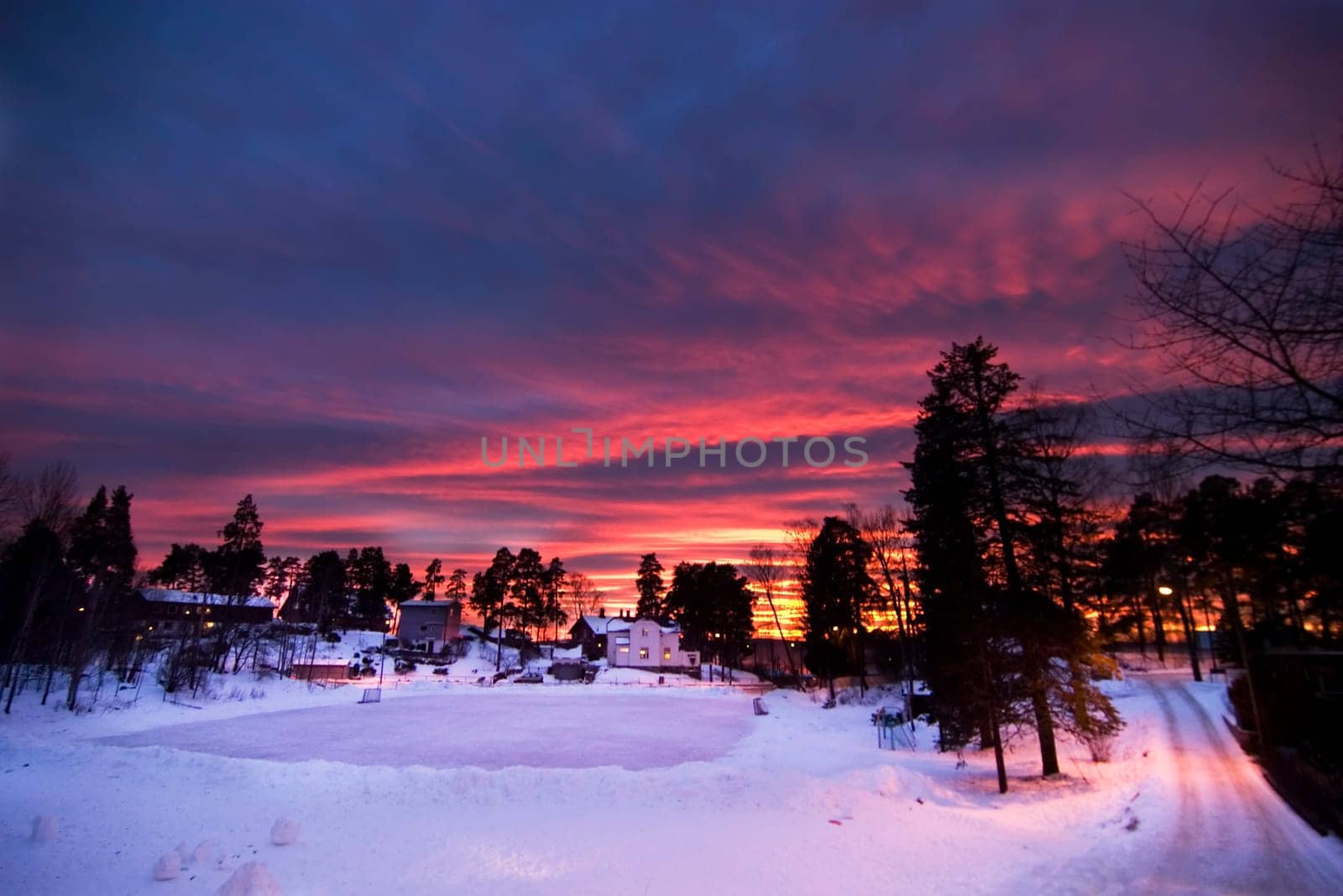 Purple Sunset