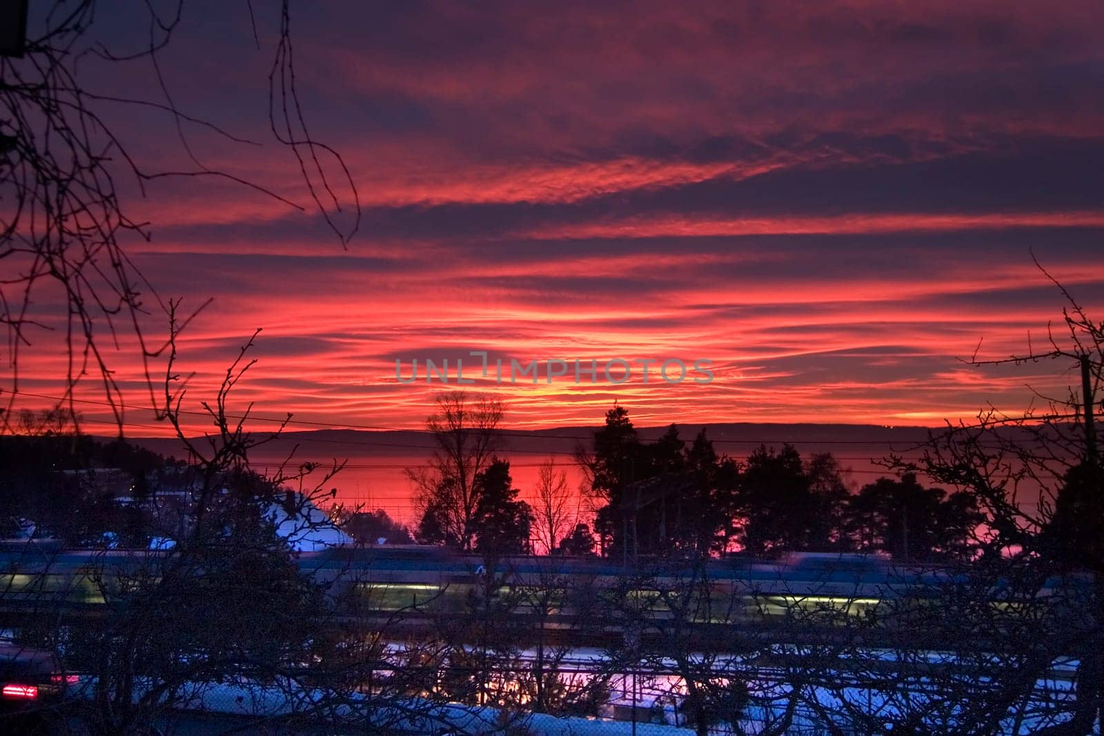 Purple Sunset