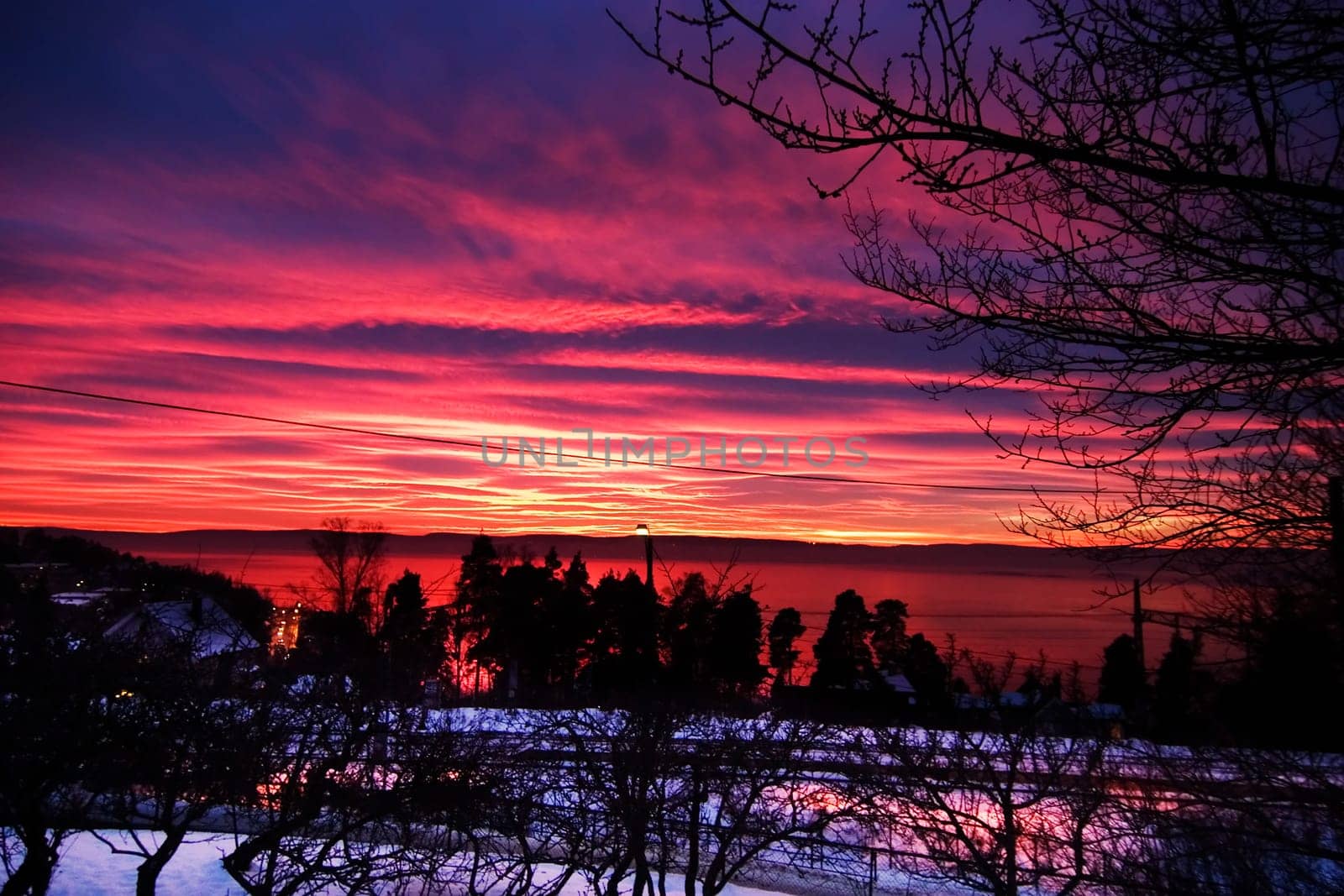 Purple Sunset