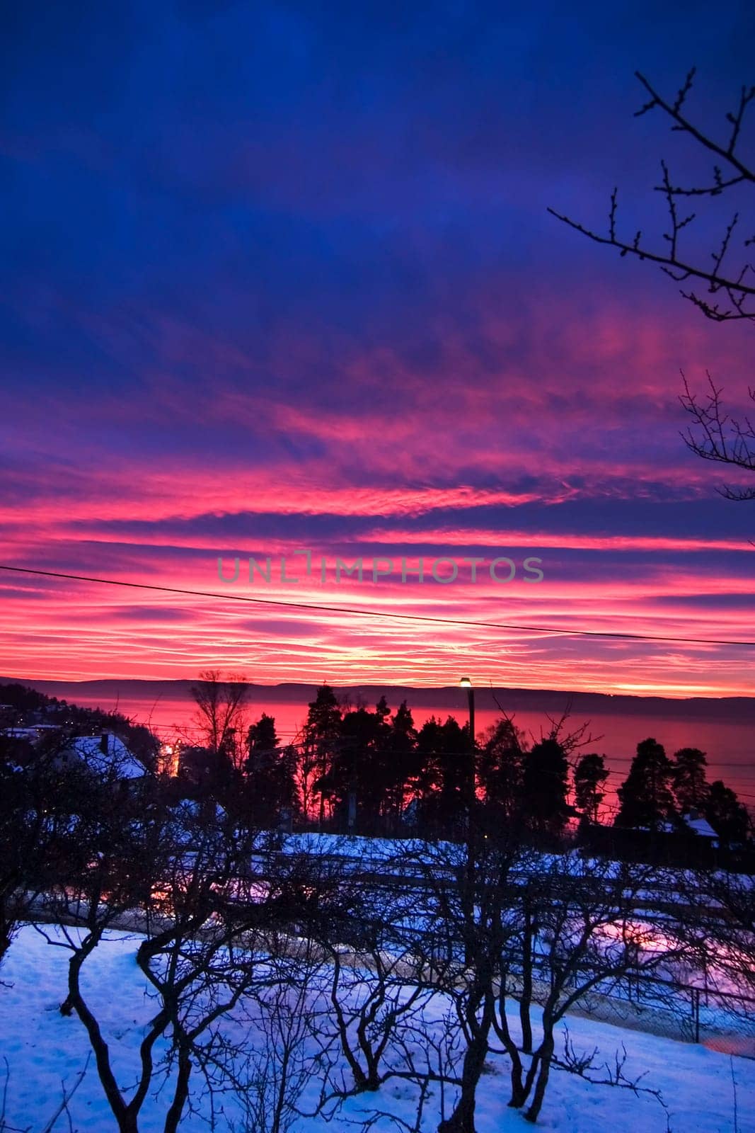 Purple Sunset
