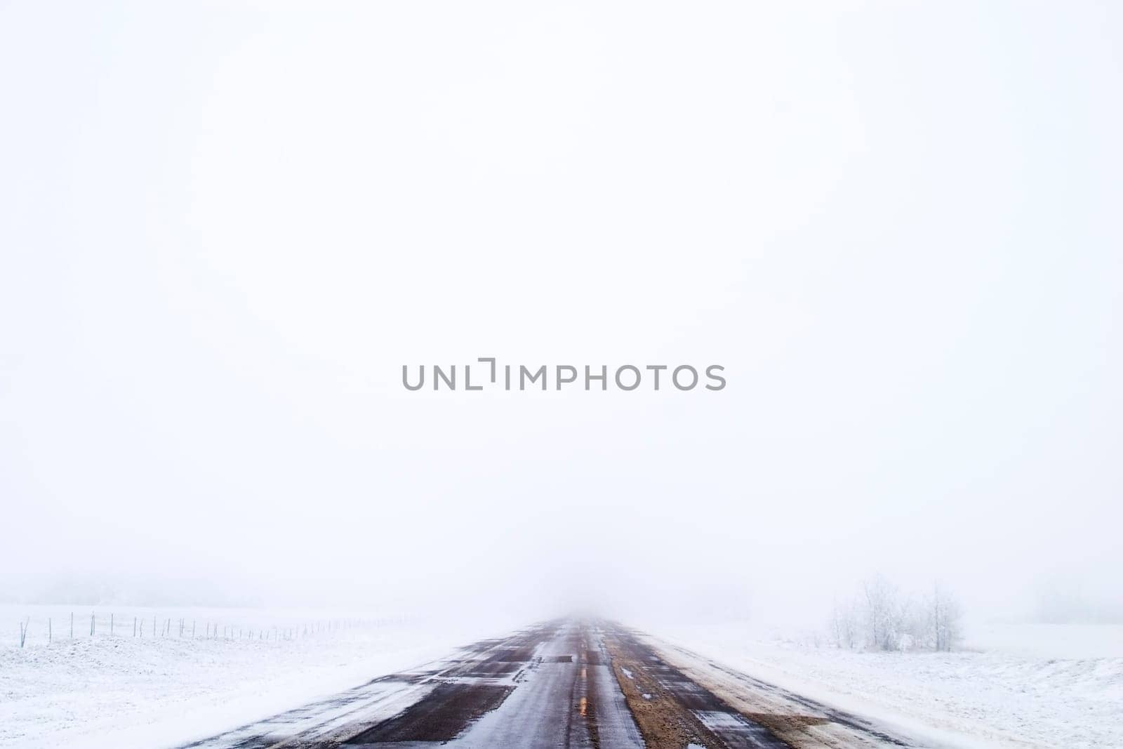 Prairie Road in Fog
