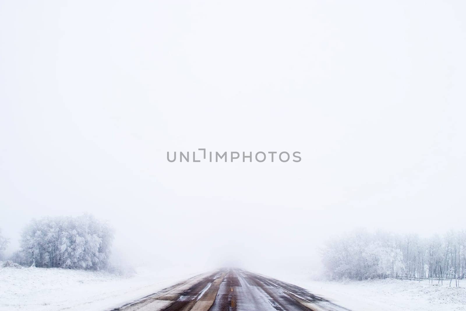 Prairie Road in Fog