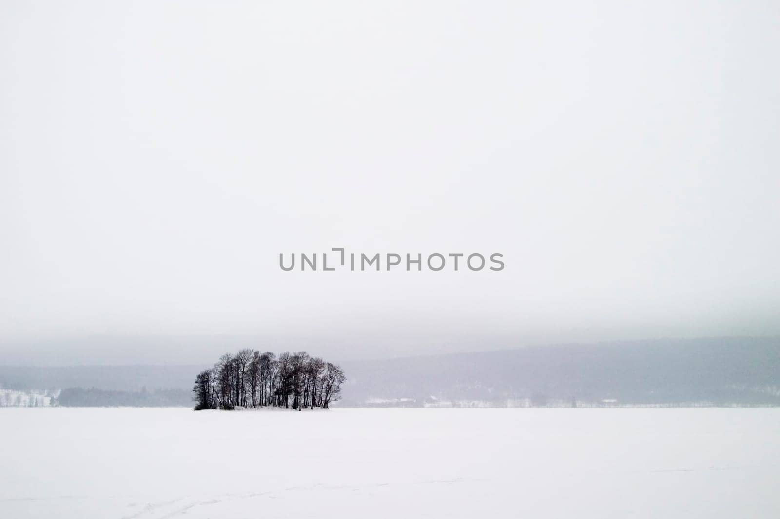 Frozen Lake with Trees