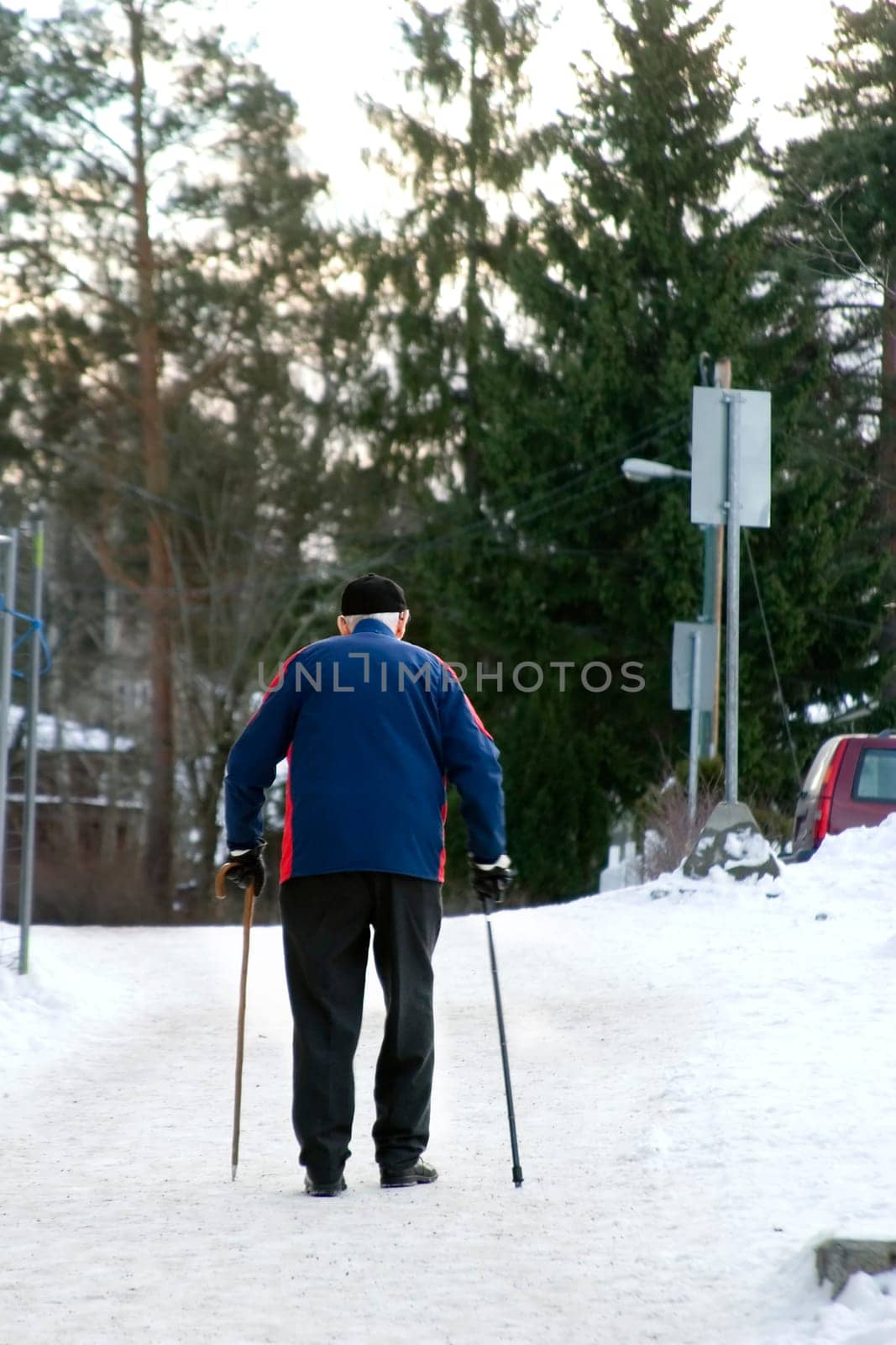 Winter Stroll
