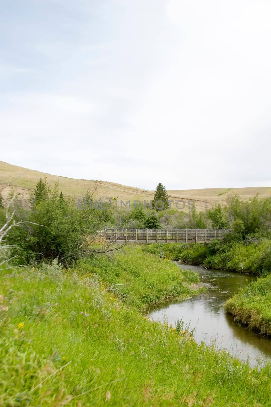 Cypress Hills Park Creek
