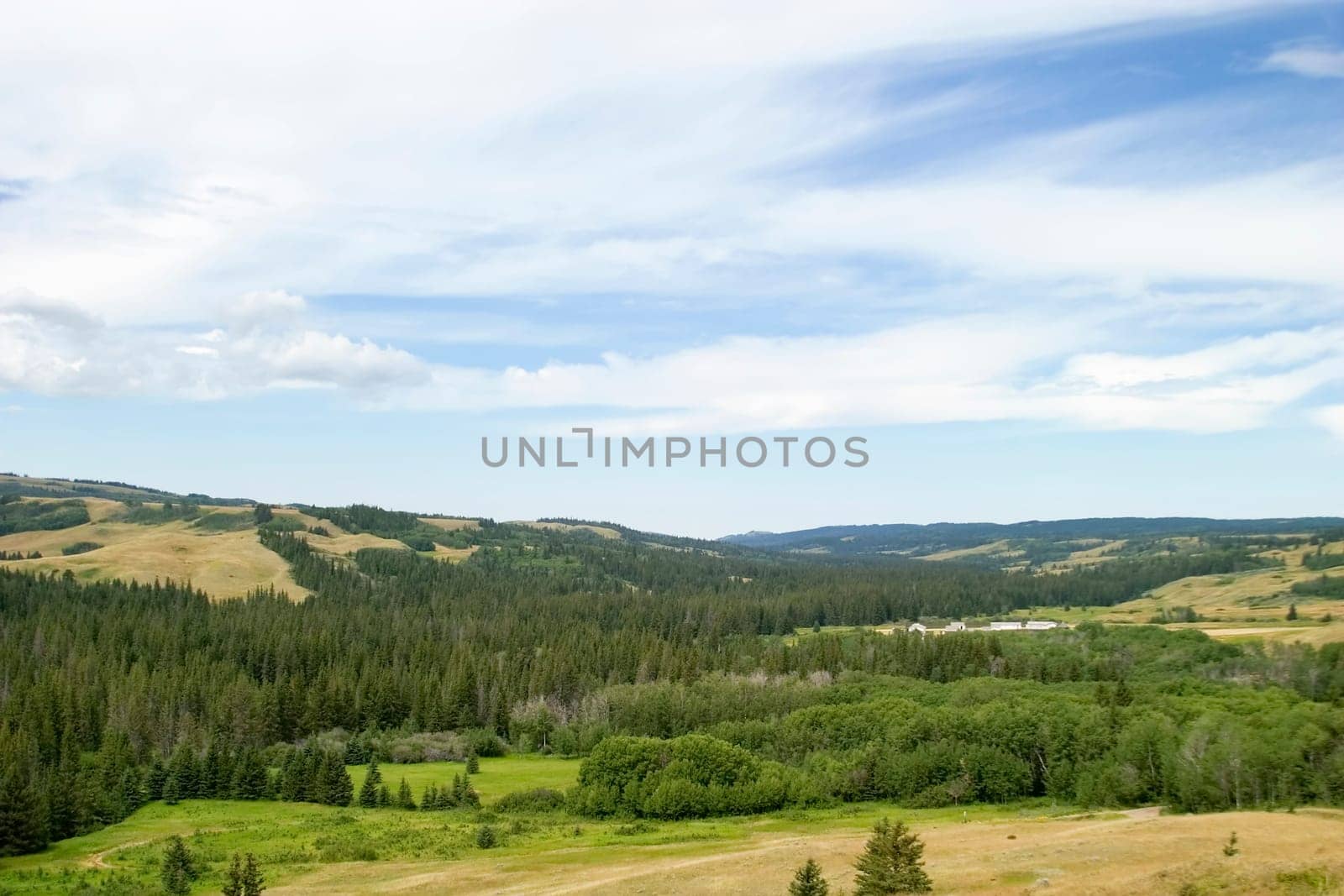Cypress Hills Park