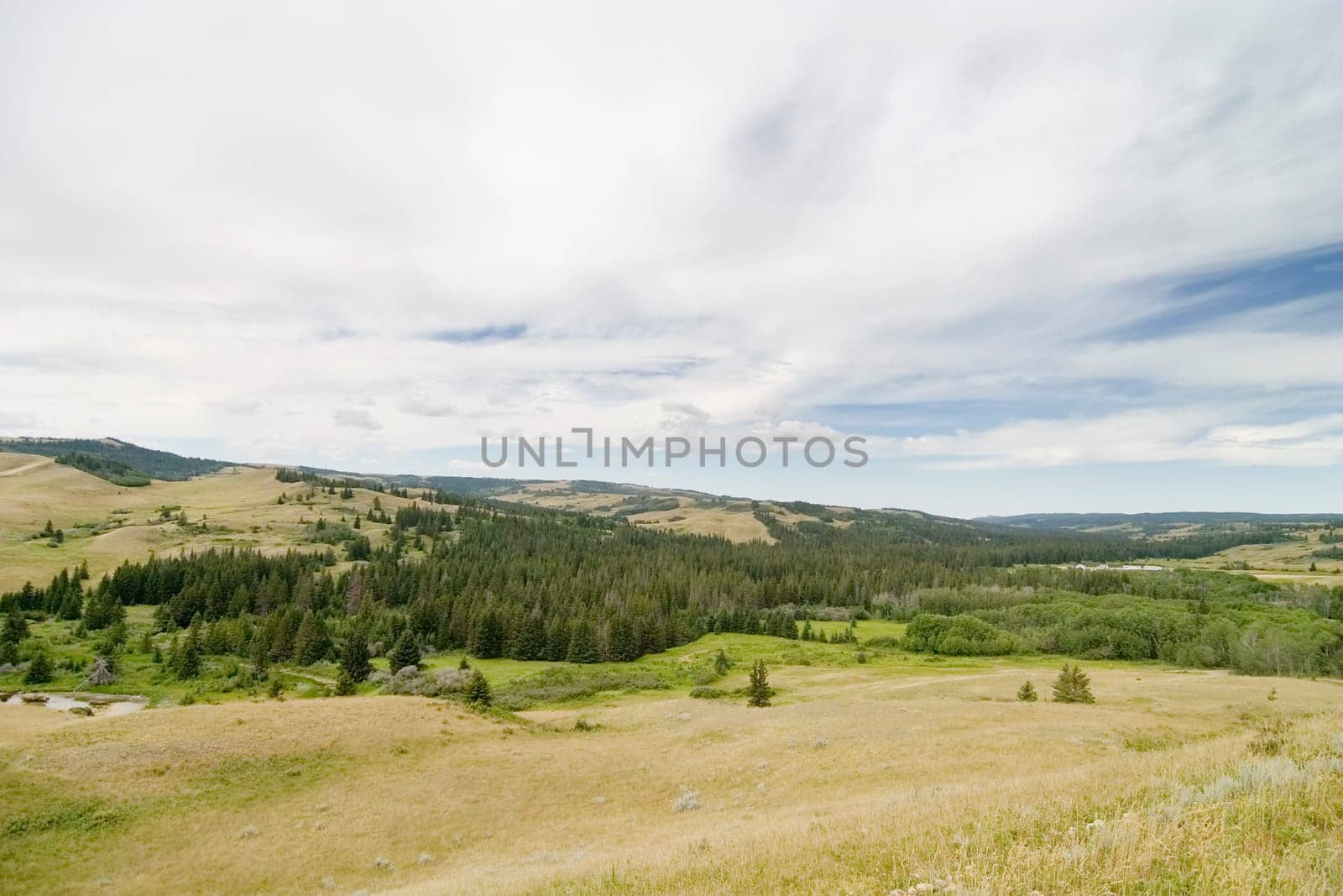 Cypress Hills Park