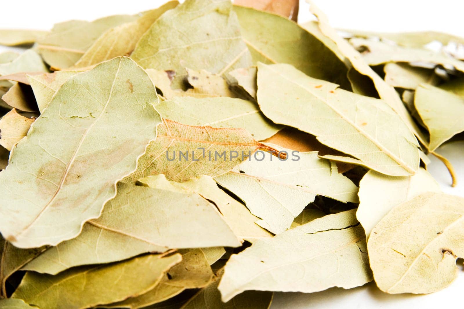 Bay Leaves