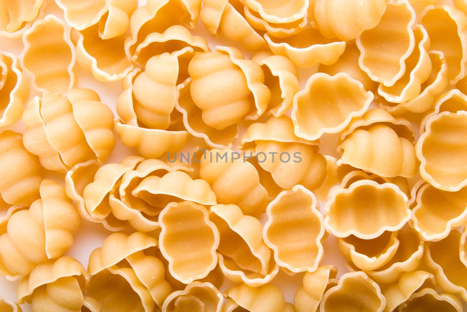 Sea Shell Pasta Background
