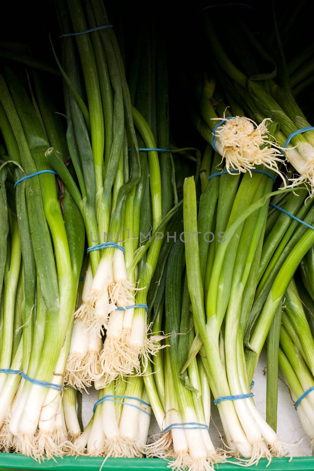Green Onion