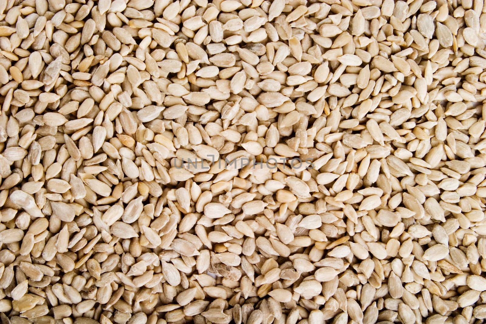 Sunflower Seeds Background