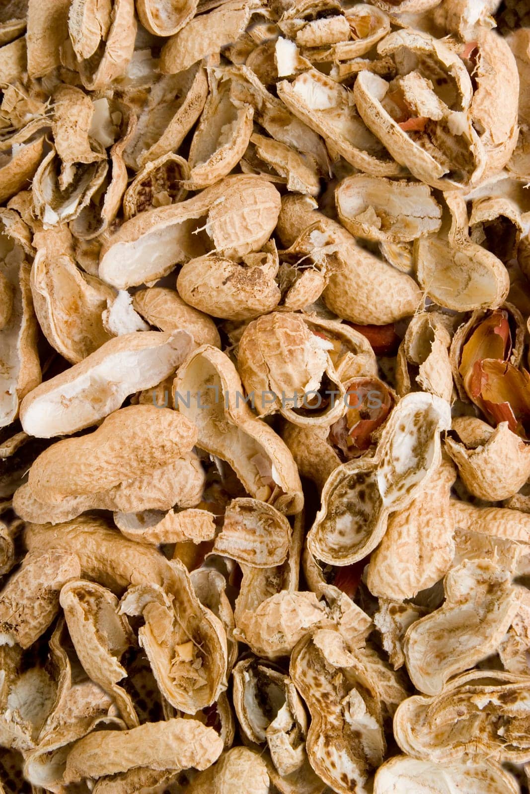 Peanut Shell Background