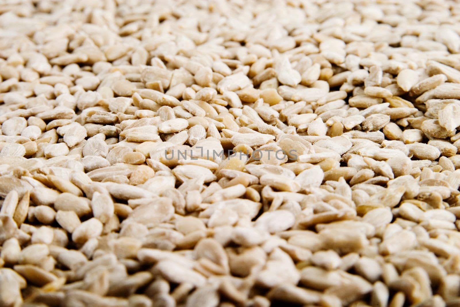 Sunflower Seeds Background