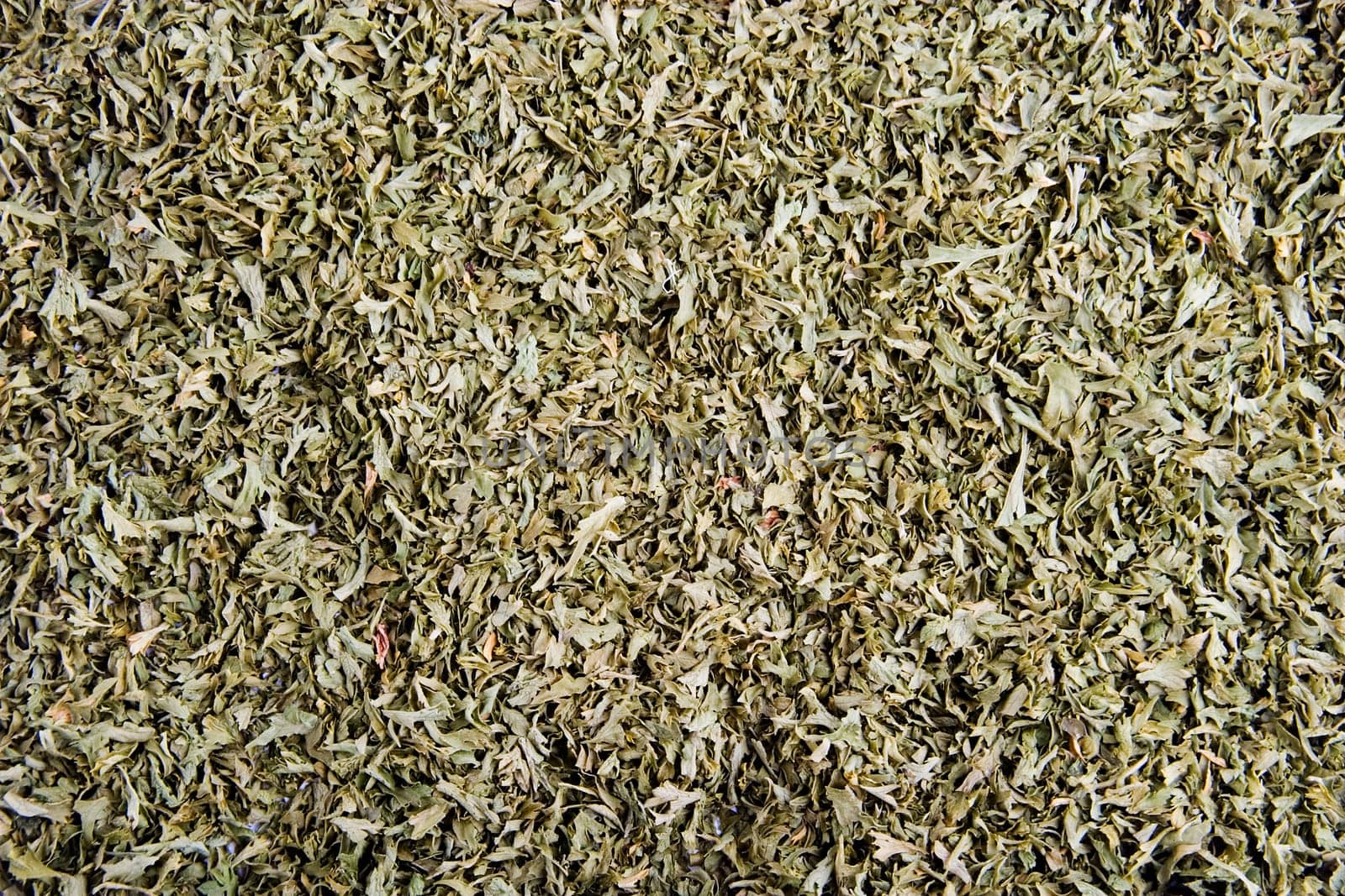 Parsley Background