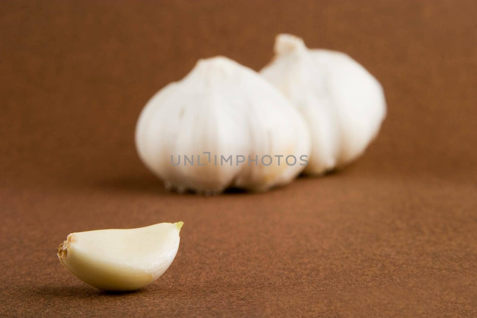 Garlic