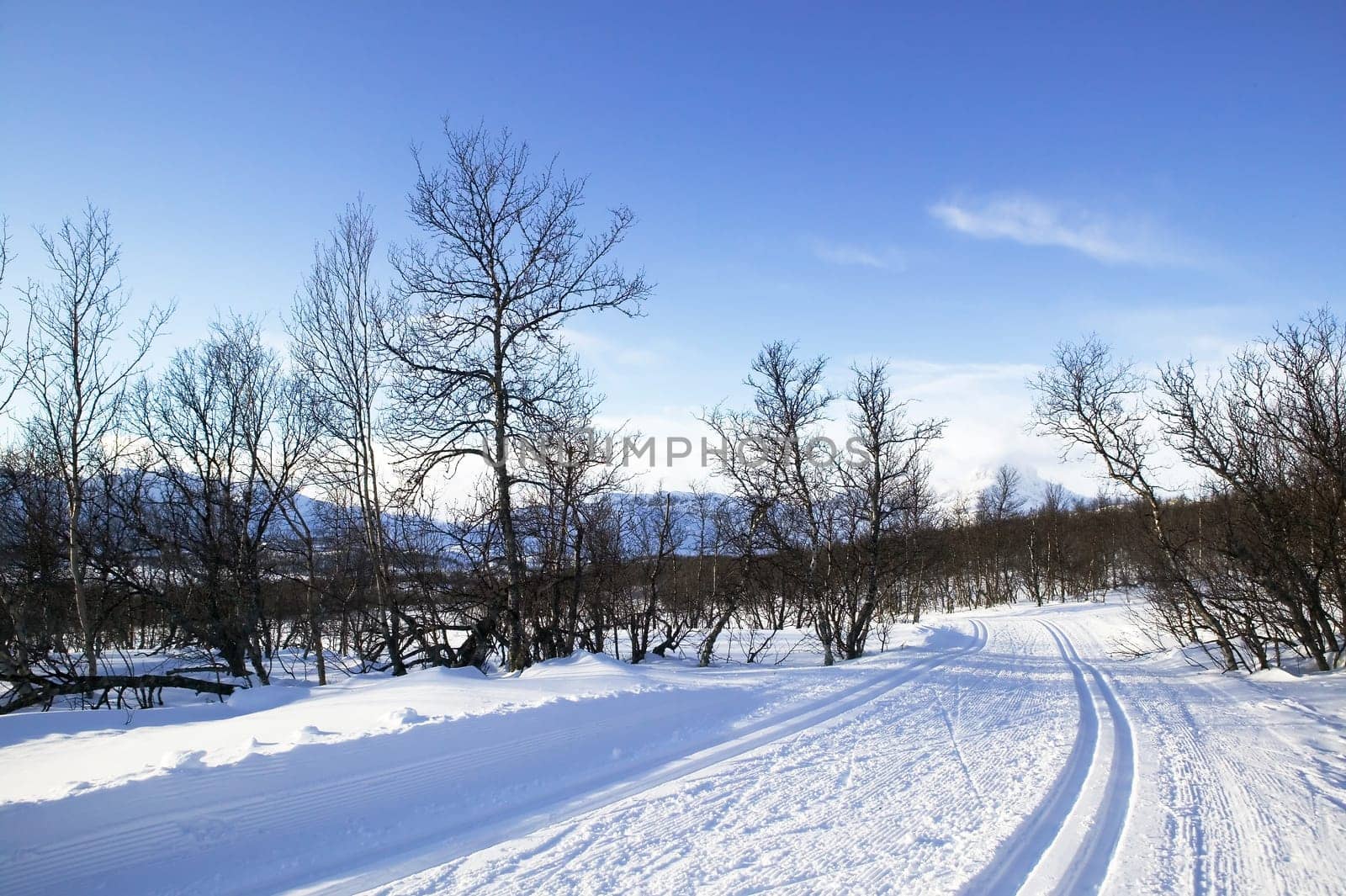 Cross Country Ski Trail