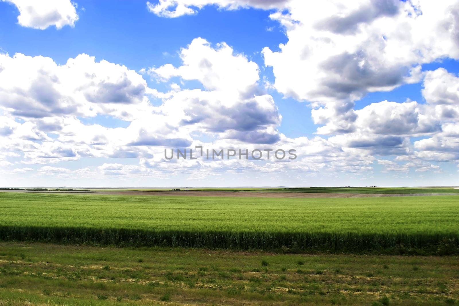 Prairie Landscape
