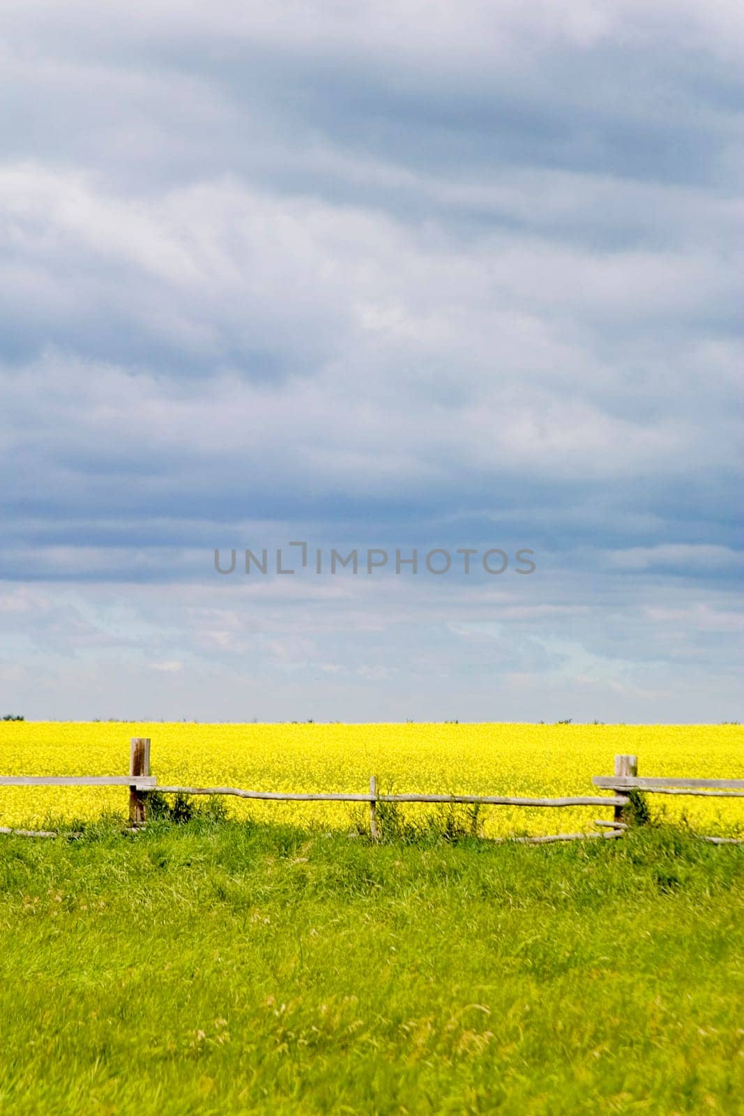 Prairie Landscape - Fence Line