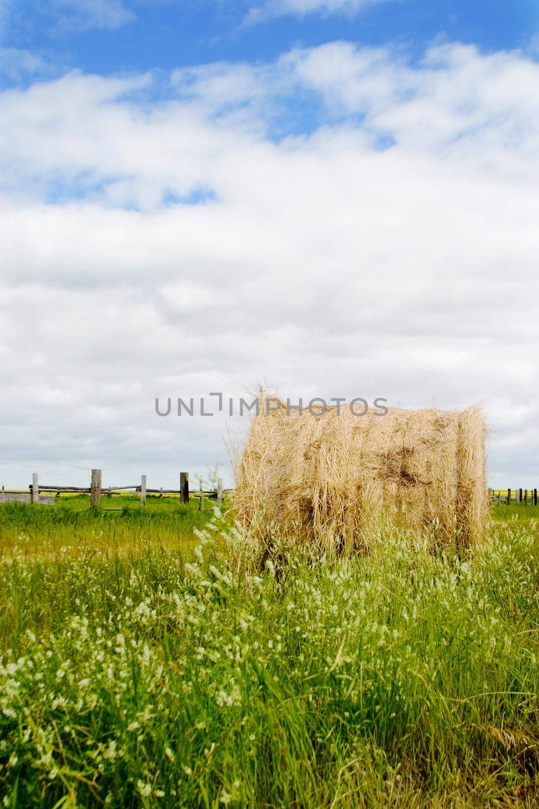 Hay Bail