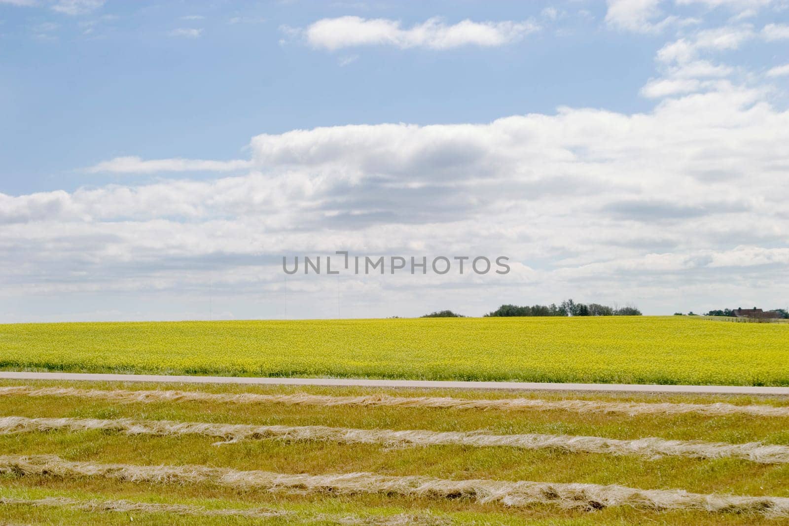 Prairie Landscape