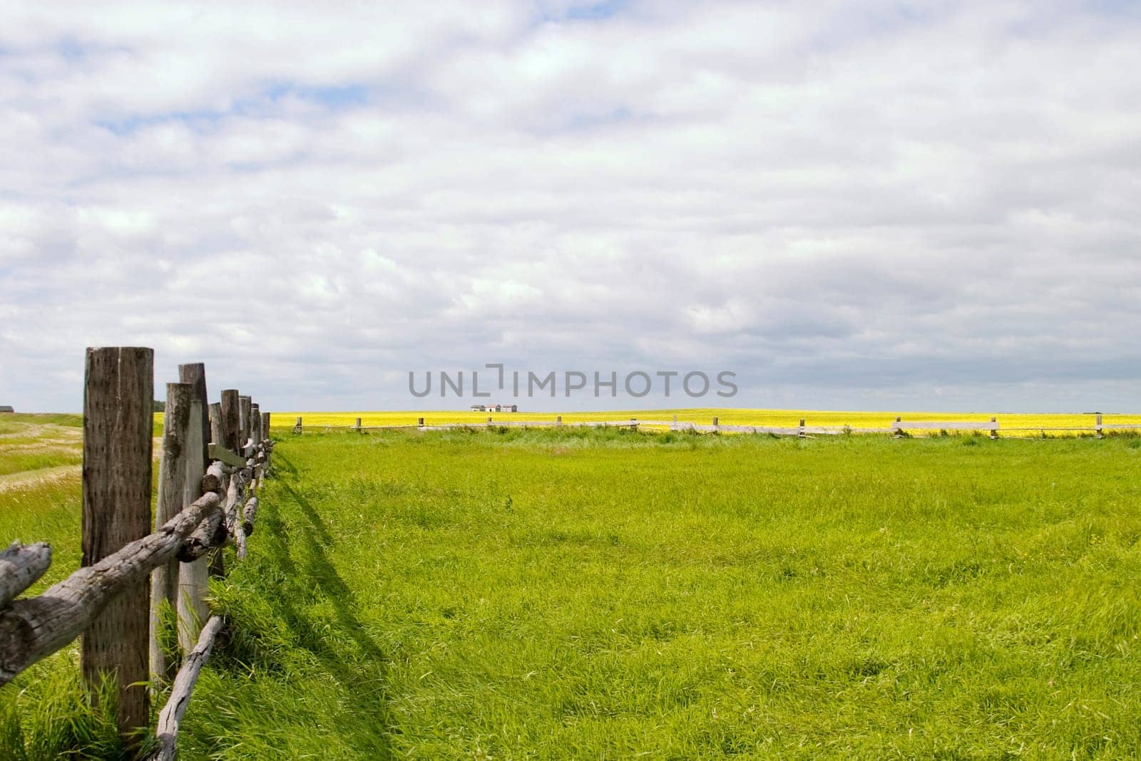 Prairie Landscape - Fence Line