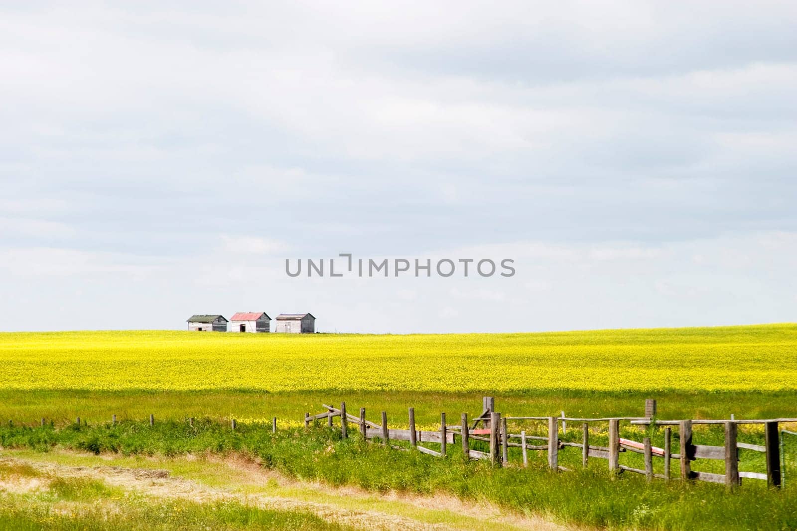 Prairie Landscape