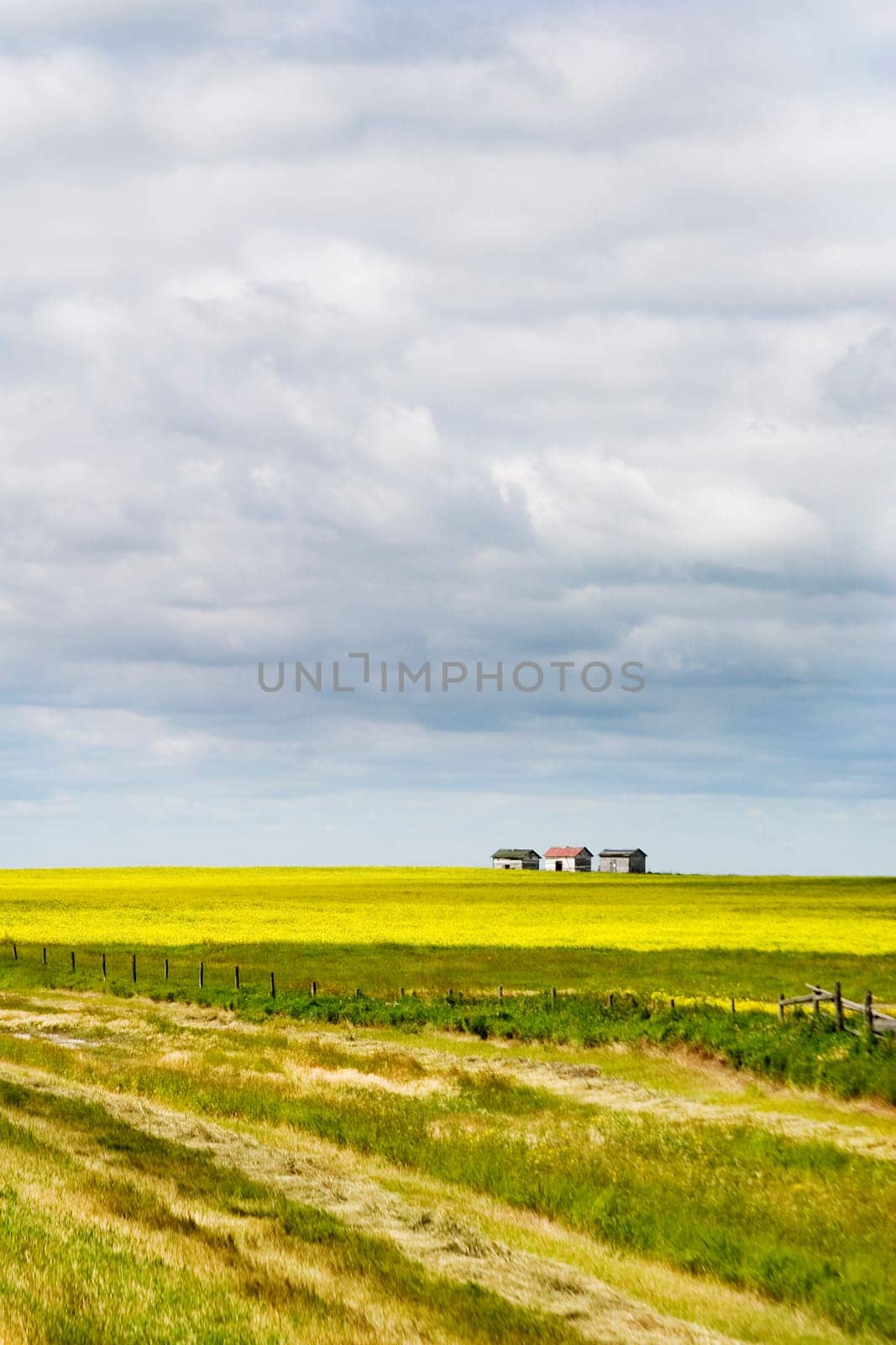 Prairie Landscape