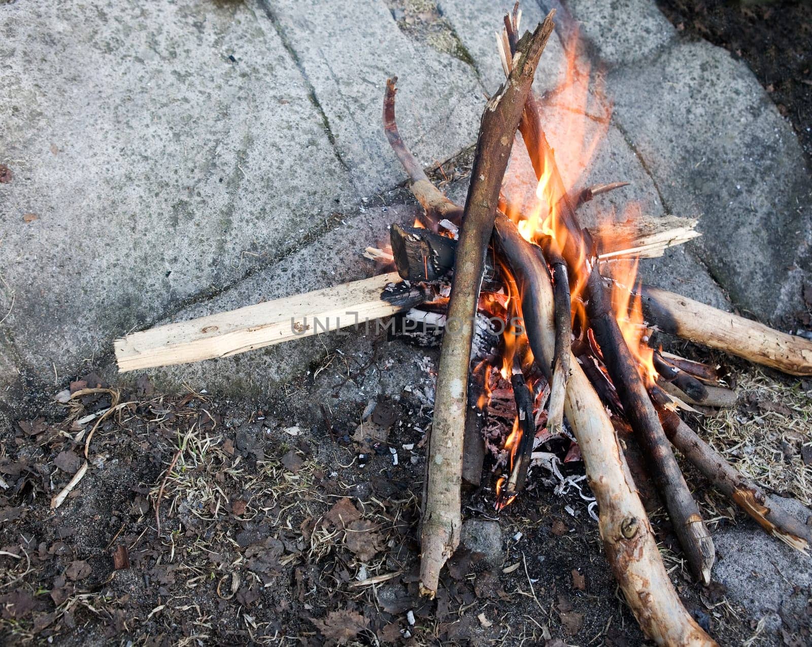 Campfire Detail