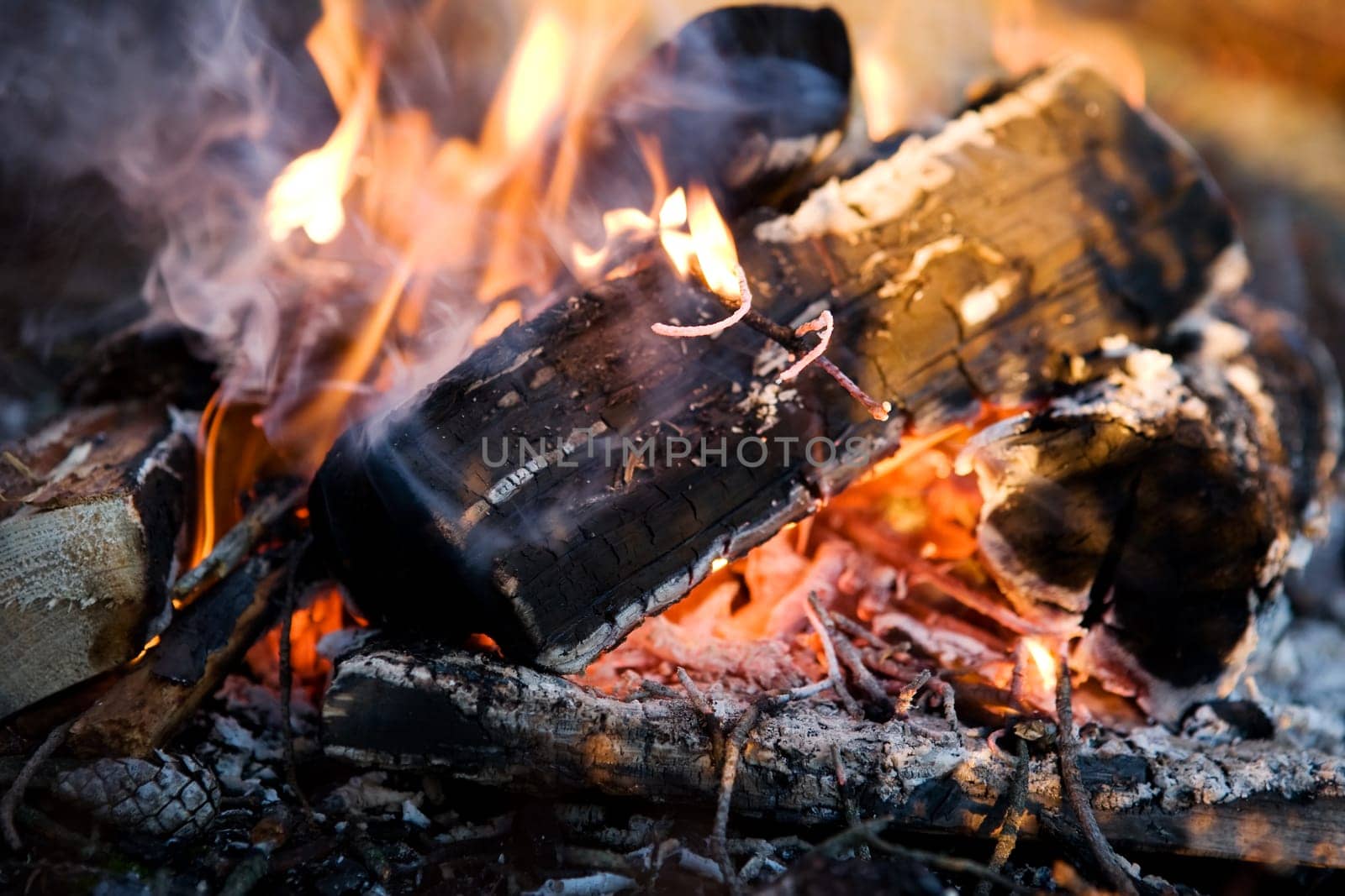 Campfire Detail