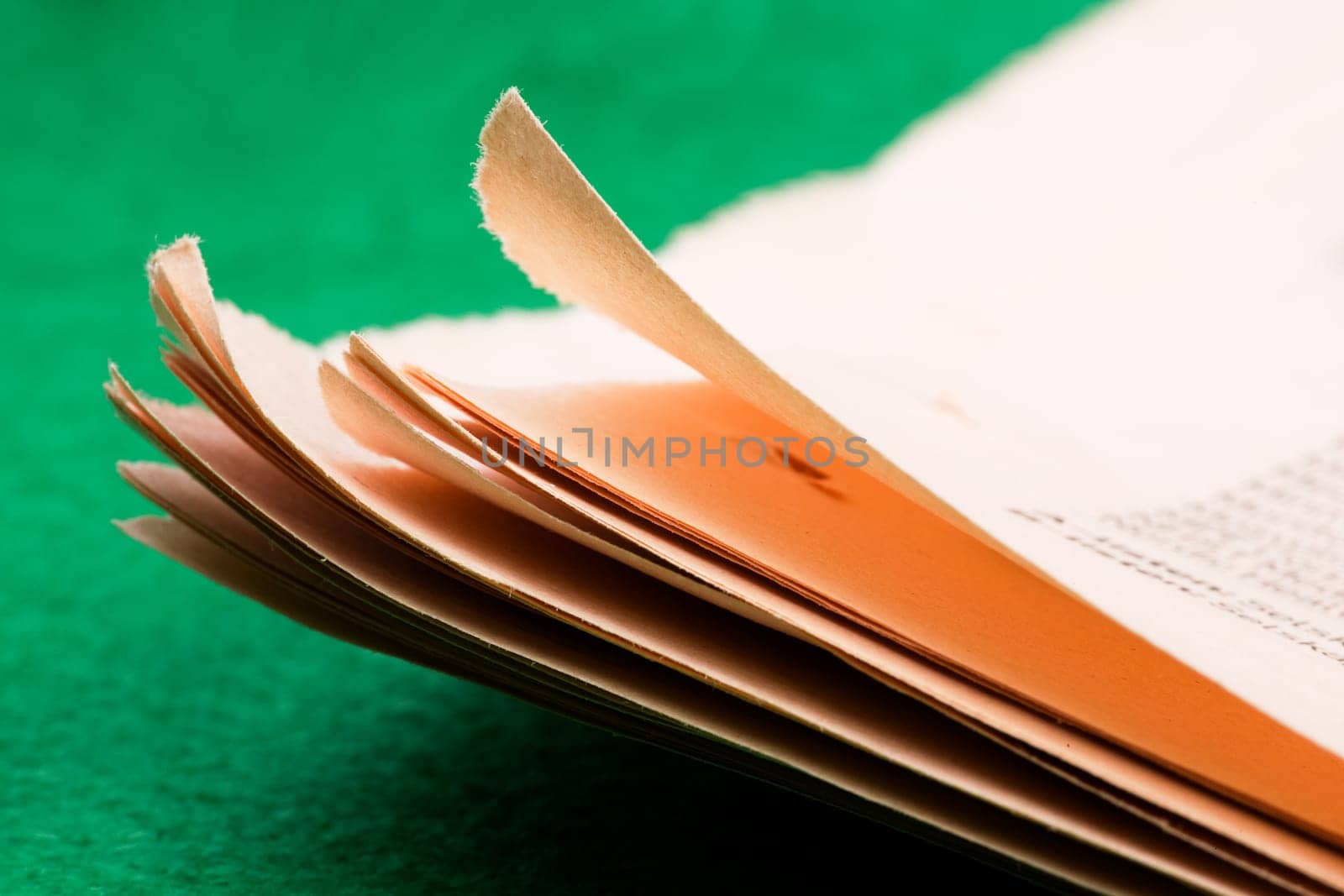 Newspaper Detail
