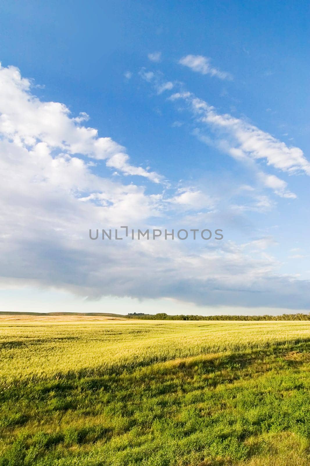 Prairie Sky Landscape