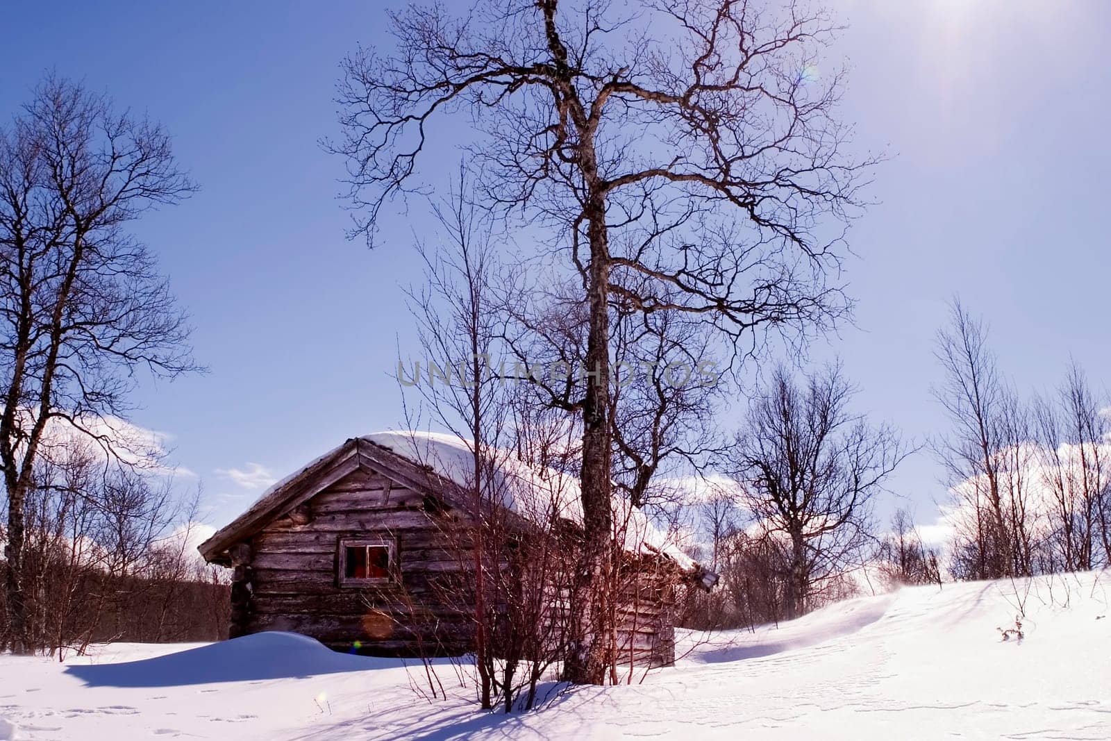 Winter Cabin