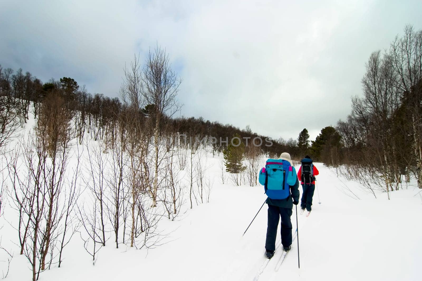 Skiing in Winter