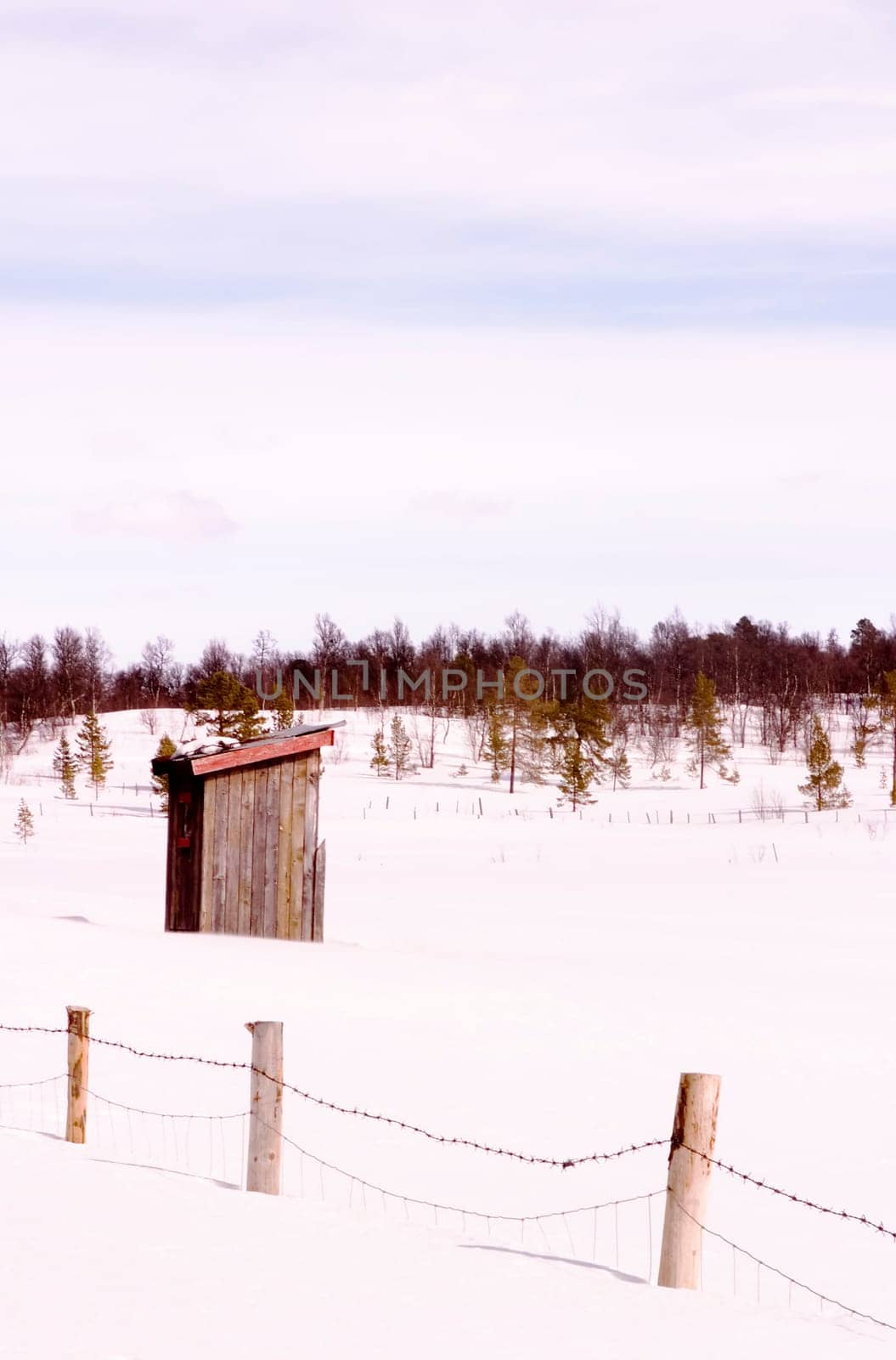 Barren Landscape