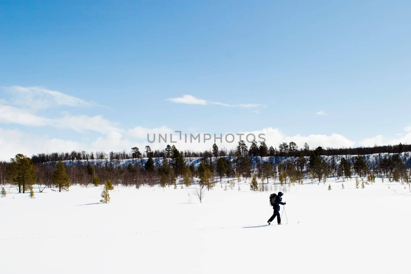 Cross Country Landscape