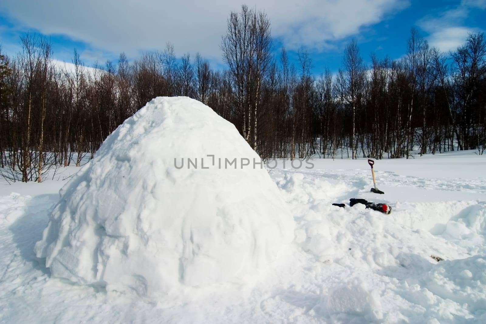 Igloo