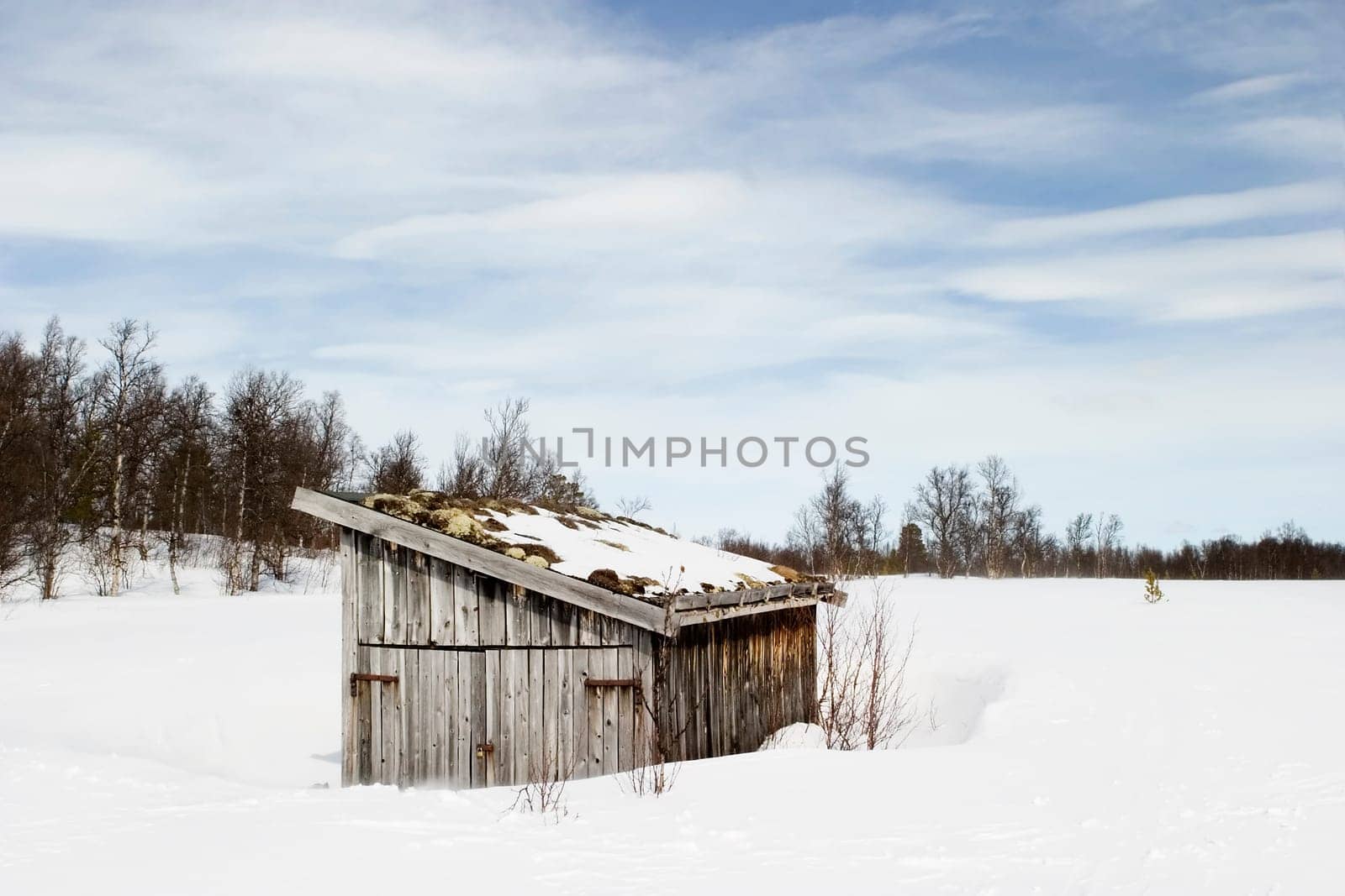 Barren Landscape