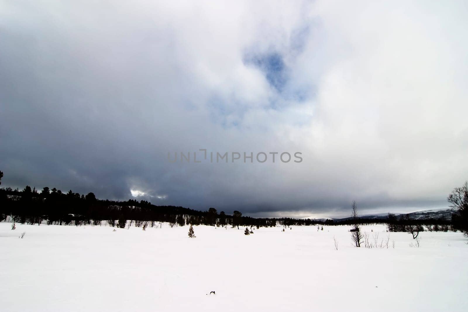 Winter Landscape