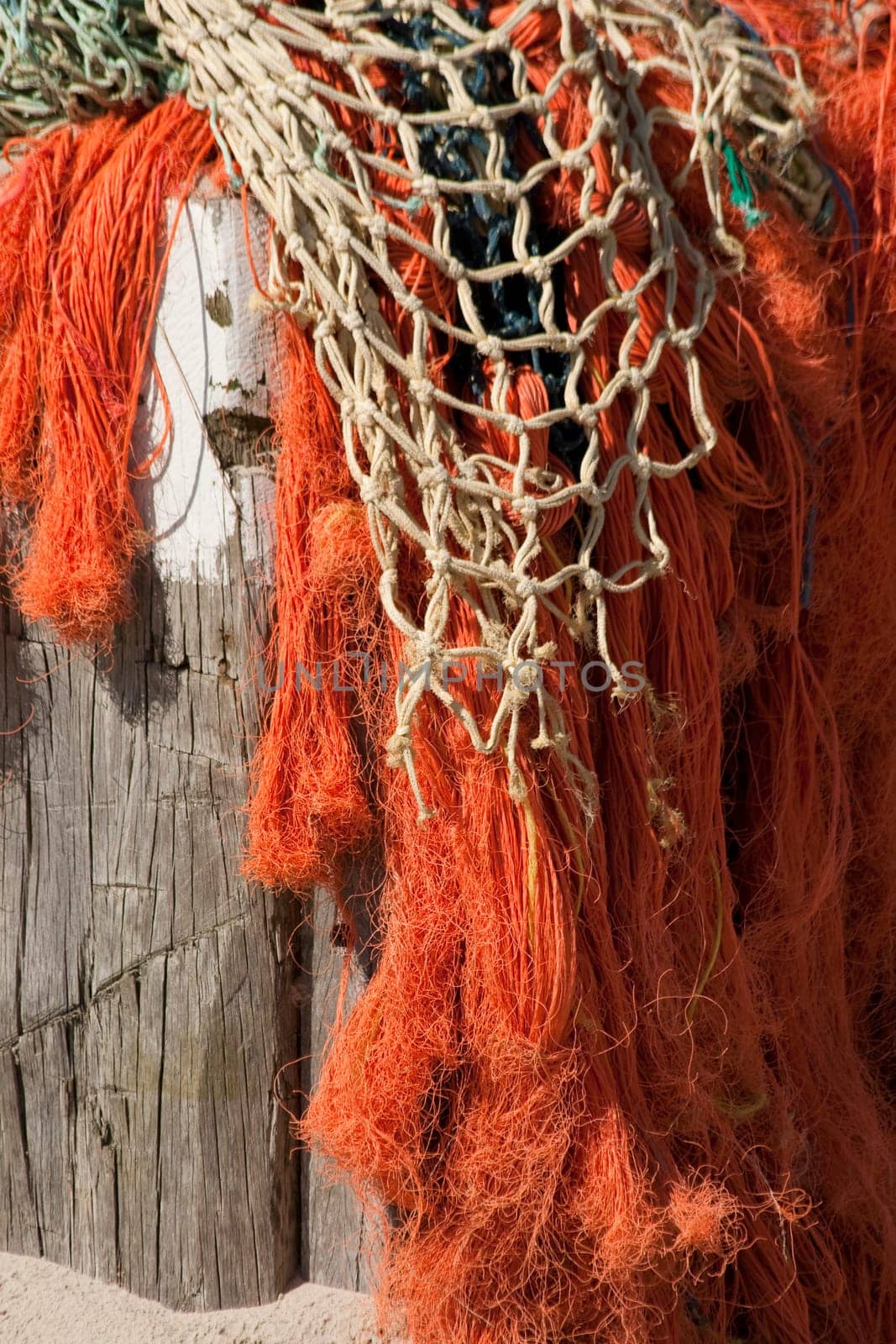 Fishing net