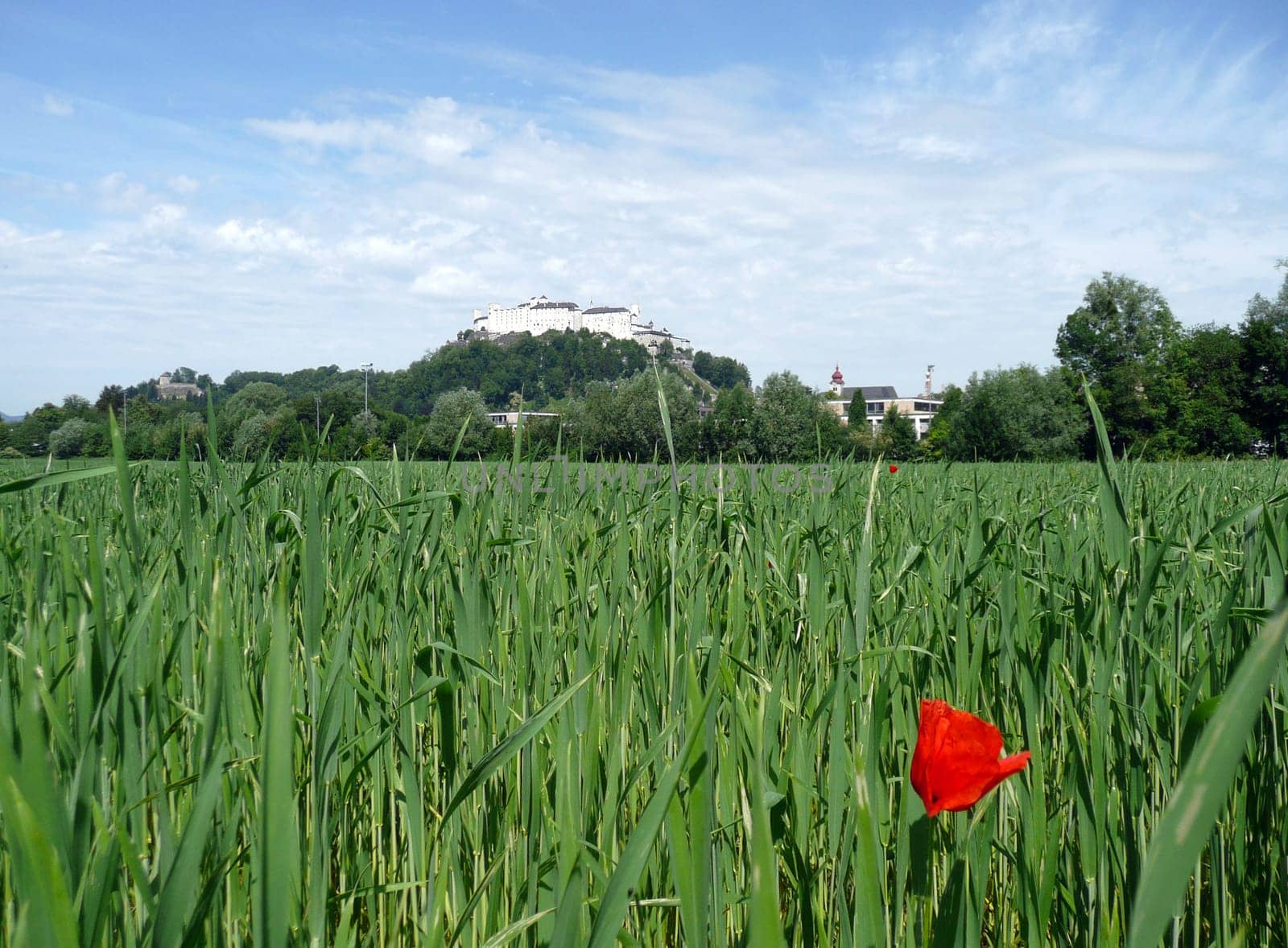Fortress