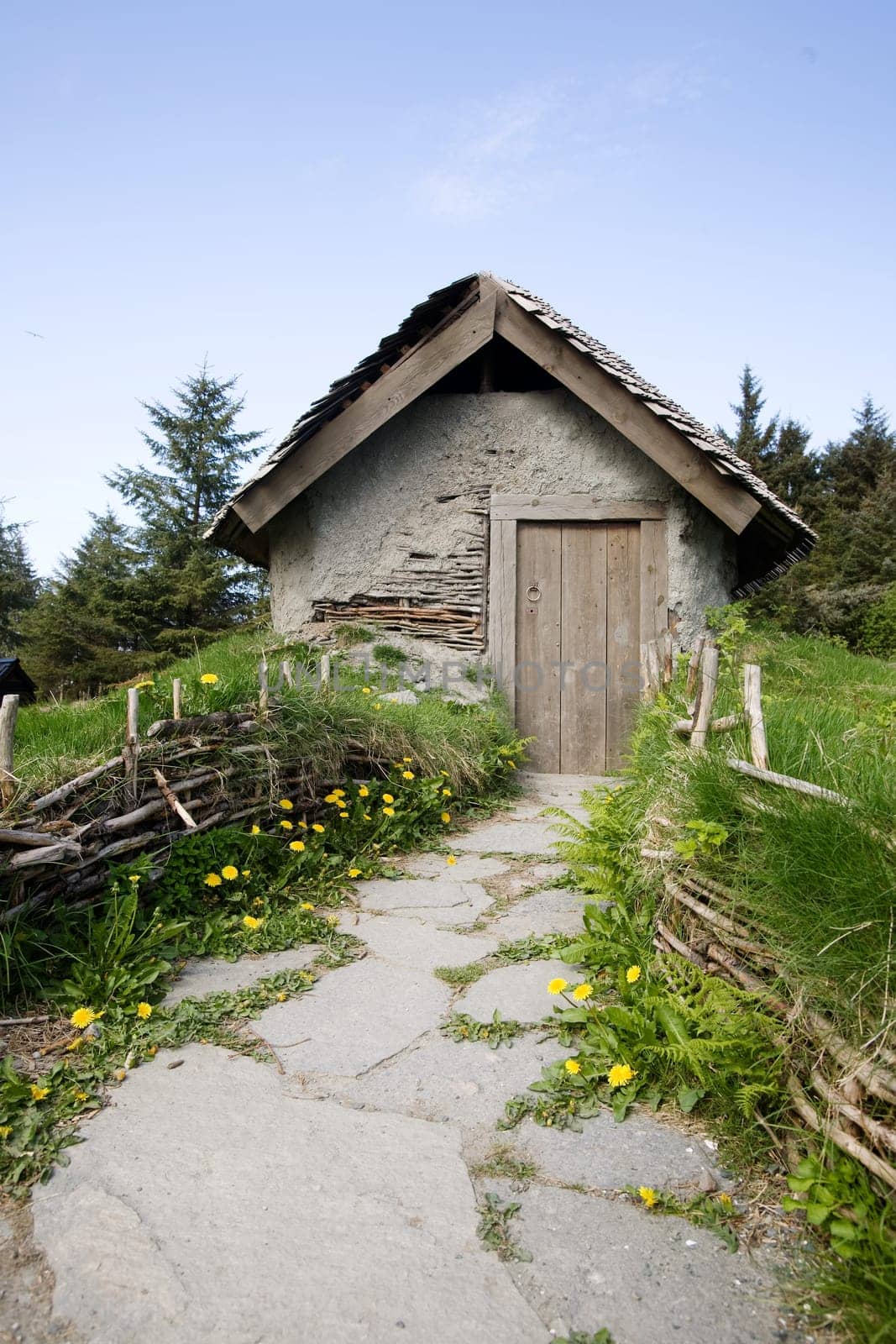 Small Cabin