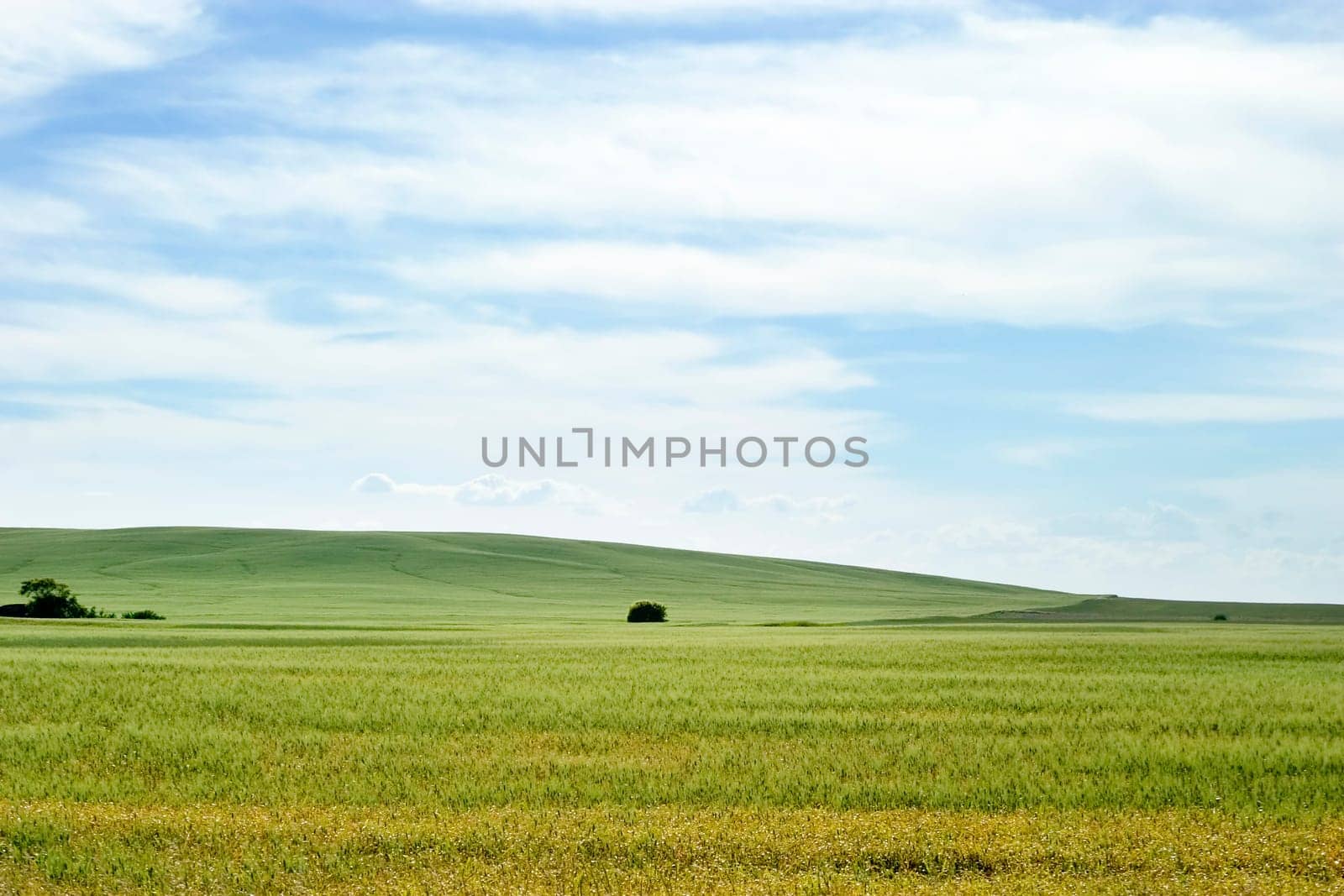 Prairie Landscape