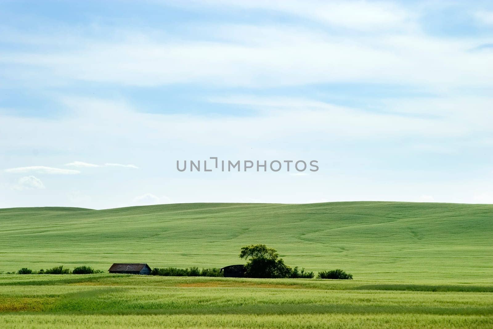 Prairie Landscape