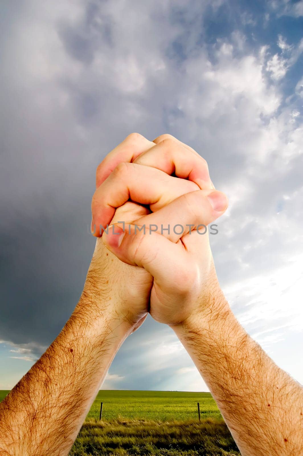 Praying Hands