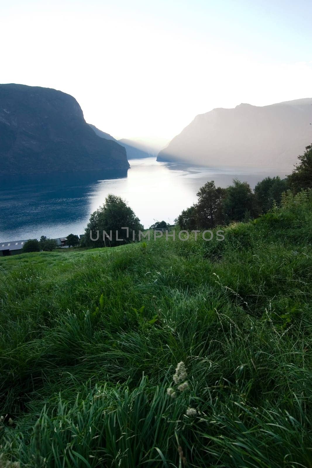 Evening Fjord View