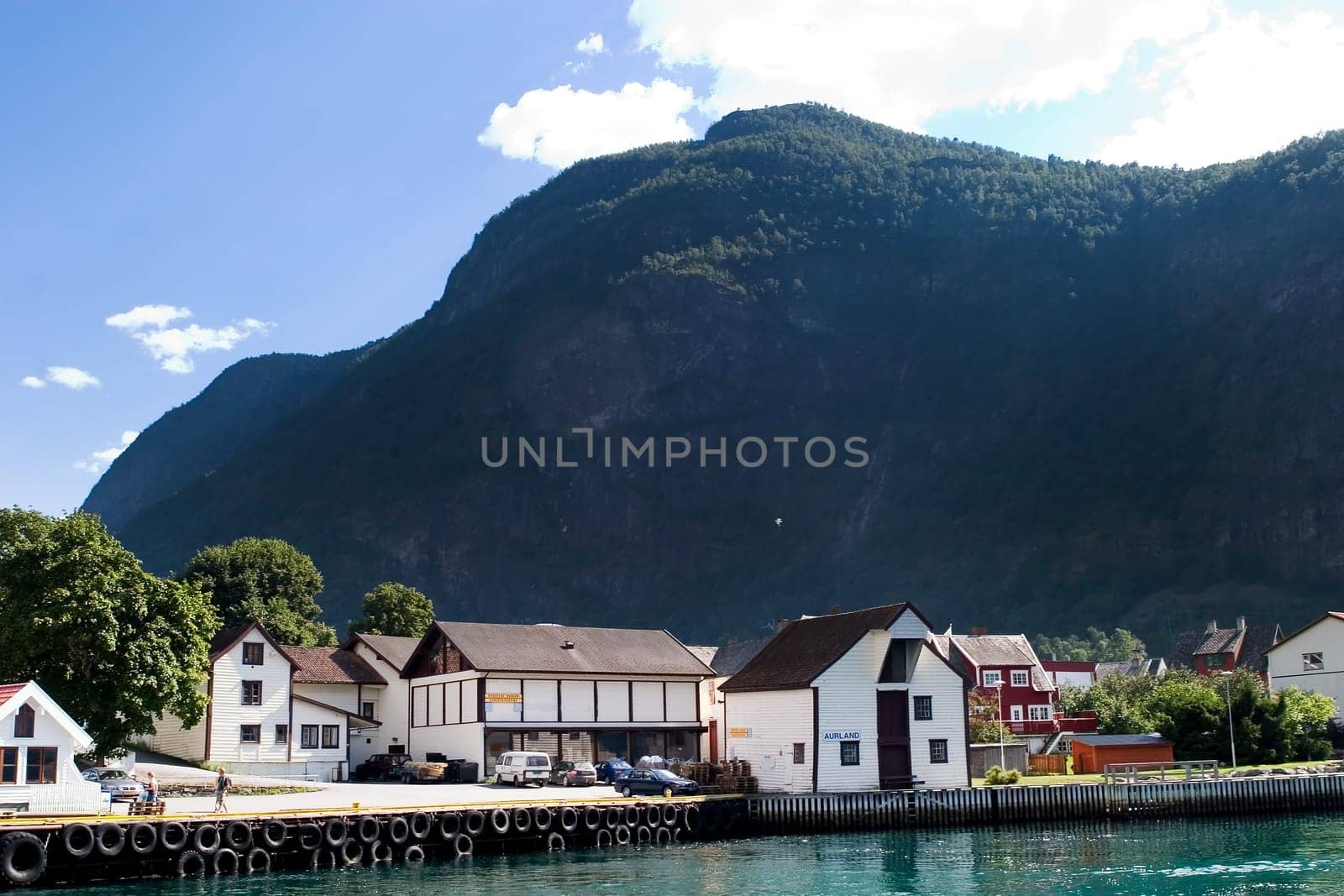 Mountain Village in a Fjord