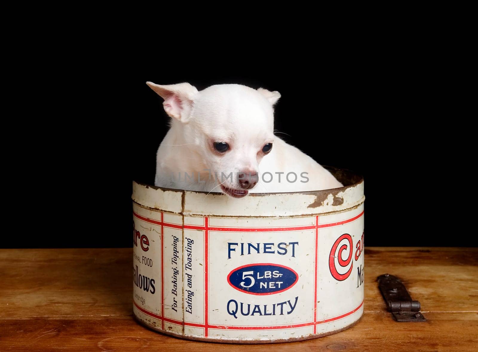 Chiwawa